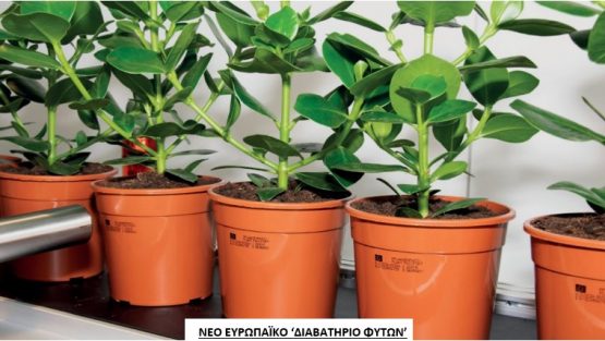 ΝΕΟ ΕΥΡΩΠΑΪΚΟ ‘ΔΙΑΒΑΤΗΡΙΟ ΦΥΤΩΝ’
